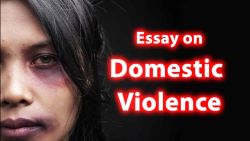 Read more about the article Essay on Domestic Violence